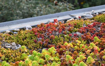 the cost of Chaldon Herring Or East Chaldon green roof installation