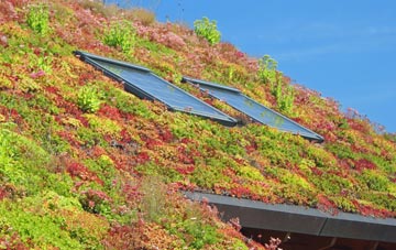 Chaldon Herring Or East Chaldon living roof systems