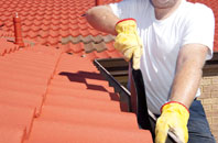 Chaldon Herring Or East Chaldon roof cleaners